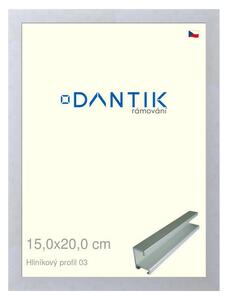 DANTIK rám na obraz 15x20 | ALU Stříbrná matná (Sklo Čiré)