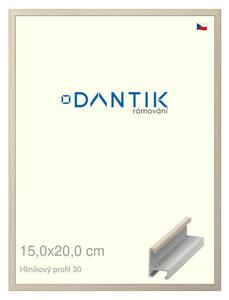 DANTIK rám na obraz 15x20 | ALU Dýha slovnová kost (Sklo Čiré)