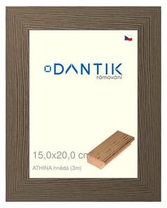 DANTIK rám na obraz 15x20 | ATHINA hnědá (Sklo Čiré)