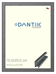 DANTIK rám na obraz 15x20 | ALU Ššedá broušená (Sklo Čiré)