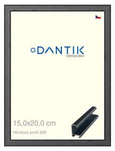 DANTIK rám na obraz 15x20 | ALU Šedá Oplal broušená (Sklo Čiré)