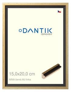 DANTIK rám na obraz 15x20 | NINA černá AU linka (Sklo Čiré)