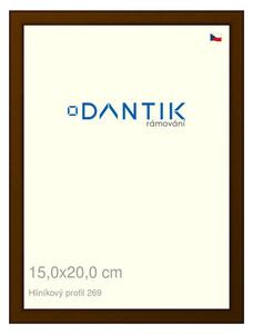 DANTIK rám na obraz 15x20 | ALU Hnědá umbra broušená (Sklo Čiré)