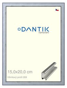 DANTIK rám na obraz 15x20 | ALU Sstříbrná broušená (Sklo Čiré)