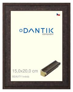 DANTIK rám na obraz 15x20 | BEAUTY hnědá (Sklo Čiré)