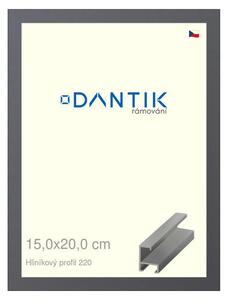 DANTIK rám na obraz 15x20 | ALU Ocelová (Sklo Čiré)