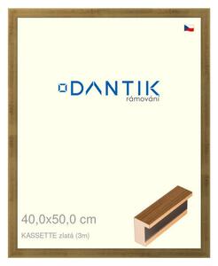 DANTIK rám na obraz 40x50 | KASSETTE zlatá (Sklo Čiré)