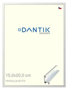 DANTIK rám na obraz 15x20 | ALU Bílá matná (Sklo Čiré)