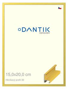 DANTIK rám na obraz 15x20 | ALU Dýha barevná žlutá citrus (Sklo Čiré)