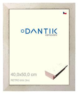 DANTIK rám na obraz 40x50 | RETRO bílá (Sklo Čiré)