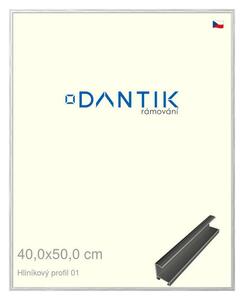 DANTIK rám na obraz 40x50 | ALU Stříbrná lesklá (Sklo Čiré)