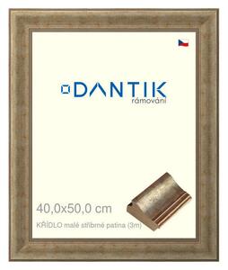DANTIK rám na obraz 40x50 | KŘÍDLO malé stříbrné patina (Sklo Čiré)