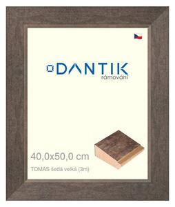 DANTIK rám na obraz 40x50 | TOMAS šedá velká (Sklo Čiré)