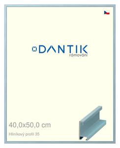 DANTIK rám na obraz 40x50 | ALU Dýha barevná modrá pastel (Sklo Čiré)