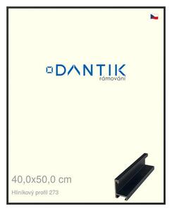 DANTIK rám na obraz 40x50 | ALU Černá matná (Sklo Čiré)