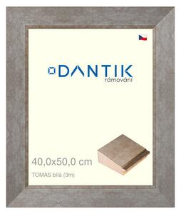 DANTIK rám na obraz 40x50 | TOMAS bílá velká (Sklo Čiré)
