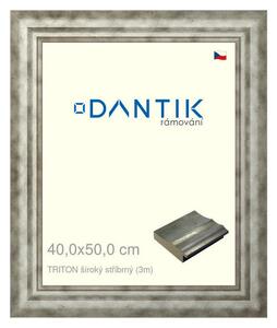DANTIK rám na obraz 40x50 | TRITON široký stříbrný (Sklo Čiré)