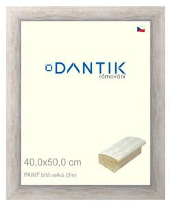 DANTIK rám na obraz 40x50 | PAINT bílá velká (Sklo Čiré)