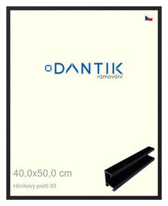 DANTIK rám na obraz 40x50 | ALU Černá matná (Sklo Čiré)