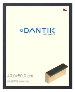 DANTIK rám na obraz 40x50 | KASSETTE šedá (Sklo Čiré)