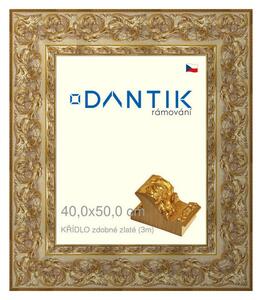 DANTIK rám na obraz 40x50 | KŘÍDLO zdobné zlaté (Sklo Čiré)