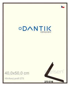 DANTIK rám na obraz 40x50 | ALU Dýha wenge tmavá (Sklo Čiré)