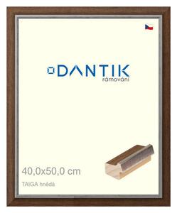 DANTIK rám na obraz 40x50 | TAIGA hnědá (Sklo Čiré)