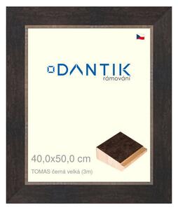DANTIK rám na obraz 40x50 | TOMAS černá velká (Sklo Čiré)