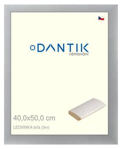 DANTIK rám na obraz 40x50 | LEDVINKA bílá (Sklo Čiré)