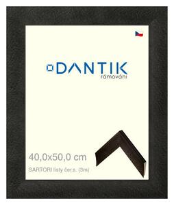 DANTIK rám na obraz 40x50 | SARTORI listy čer.s. (Sklo Čiré)