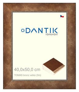 DANTIK rám na obraz 40x50 | TOMAS bronz velká (Sklo Čiré)