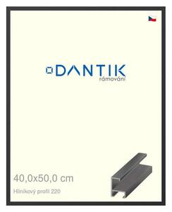 DANTIK rám na obraz 40x50 | ALU Černá matná (Sklo Čiré)