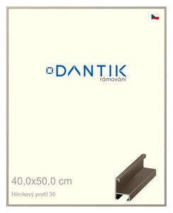 DANTIK rám na obraz 40x50 | ALU champagne (Sklo Čiré)
