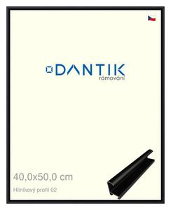 DANTIK rám na obraz 40x50 | ALU Černá matná (Sklo Čiré)