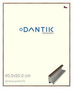 DANTIK rám na obraz 40x50 | ALU Dýha wenge (Sklo Čiré)