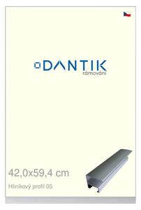 DANTIK rám na obraz 42x59,4 | ALU Stříbrná matná (Plexi Čiré)