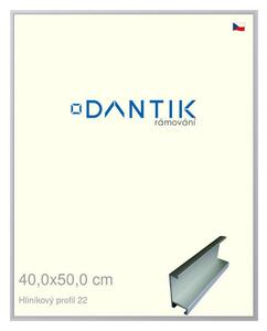 DANTIK rám na obraz 40x50 | ALU Stříbrná matná (Sklo Čiré)