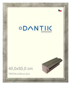 DANTIK rám na obraz 40x50 | TRITON stříbrná (Sklo Čiré)