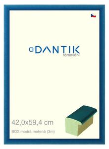 DANTIK rám na obraz 42x59,4 | BOX modrá mořená (Plexi Čiré)