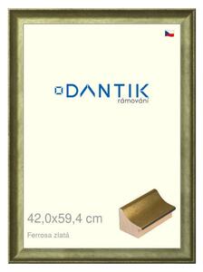 DANTIK rám na obraz 42x59,4 | Ferrosa zlatá (Plexi Čiré)