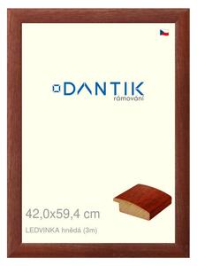 DANTIK rám na obraz 42x59,4 | LEDVINKA hnědá (Plexi Čiré)