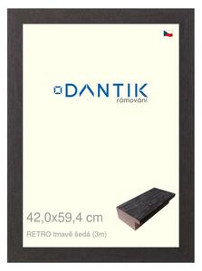 DANTIK rám na obraz 42x59,4 | RETRO tmavě šedá (Plexi Čiré)