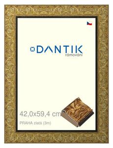 DANTIK rám na obraz 42x59,4 | PRAHA zlatá (Plexi Čiré)