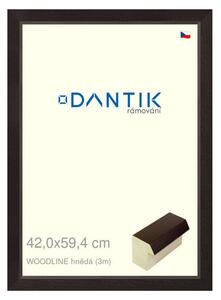 DANTIK rám na obraz 42x59,4 | WOODLINE hnědá (Plexi Čiré)