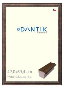 DANTIK rám na obraz 42x59,4 | TRITON měď antik (Plexi Čiré)