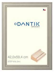 DANTIK rám na obraz 42x59,4 | STEP bílá (Plexi Čiré)