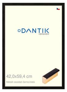 DANTIK rám na obraz 42x59,4 | Metalli oidati černozlatá (Plexi Čiré)