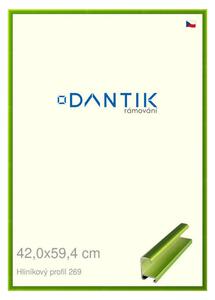 DANTIK rám na obraz 42x59,4 | ALU Zelená Smaragd broušená (Plexi Čiré)