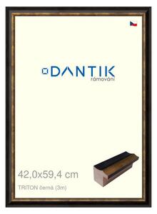 DANTIK rám na obraz 42x59,4 | TRITON černá (Plexi Čiré)