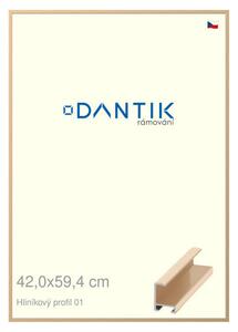 DANTIK rám na obraz 42x59,4 | ALU Zlatá lesklá (Plexi Čiré)